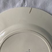 Lot of 12 old flat plates and 2 dishes, Terre de fer Henri II Salins