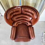 Elda armchair by Joe Colombo, black shell, brown leather