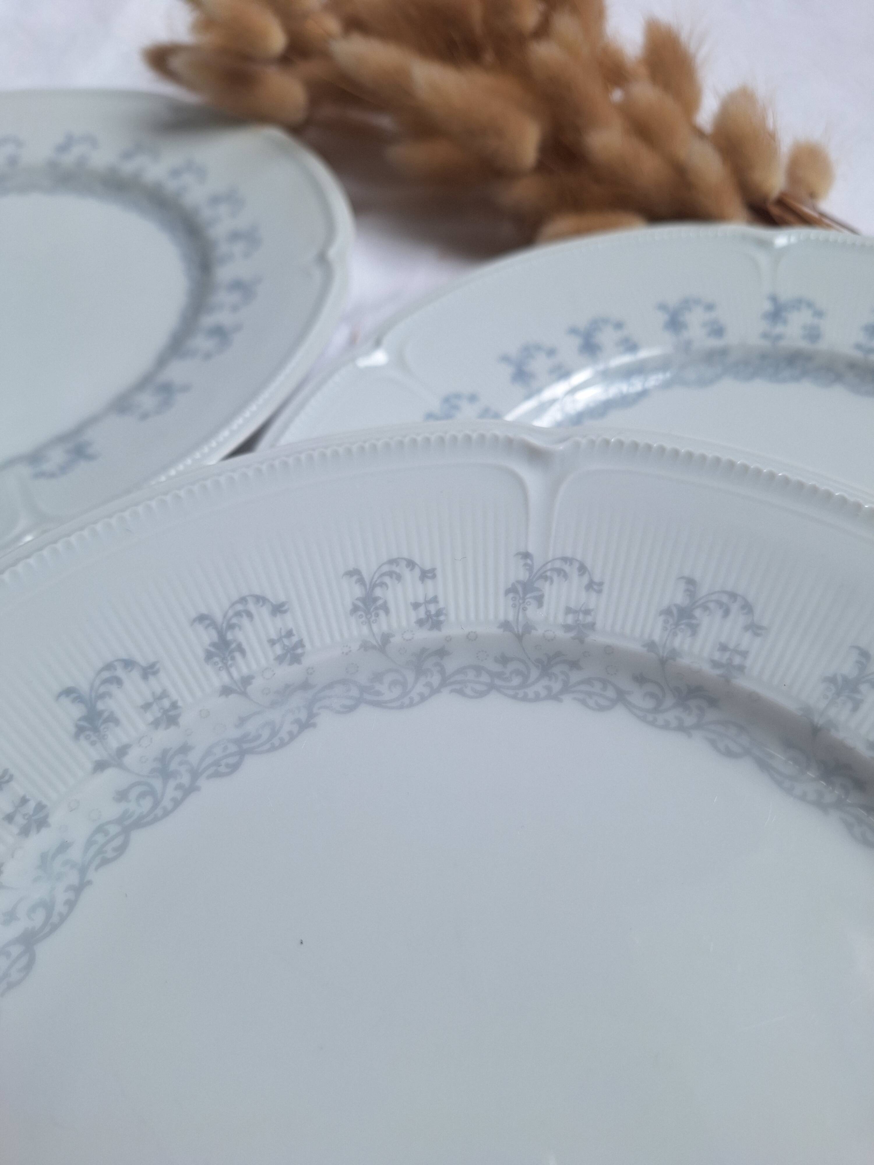 Limoges porcelain flat plates