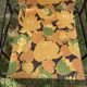 Chaise de camping vintage