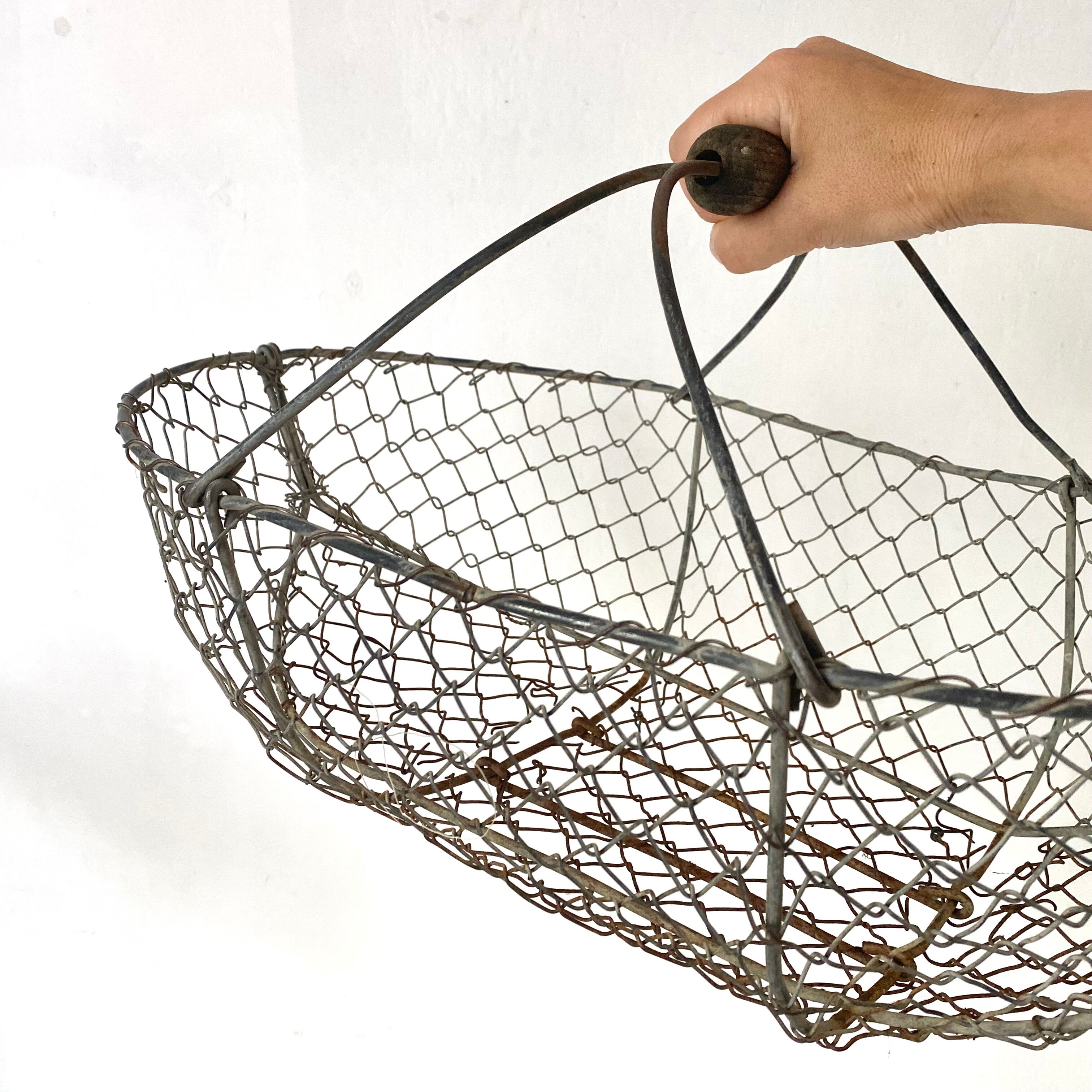 Old wire apple basket