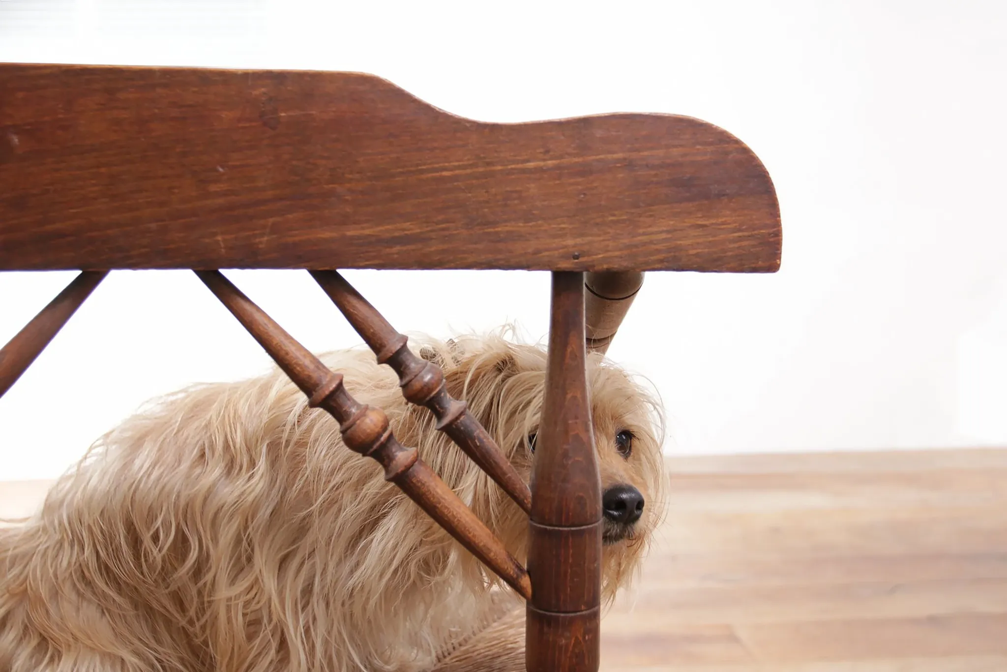 Rare antique Dutch oak armchair with rush seat