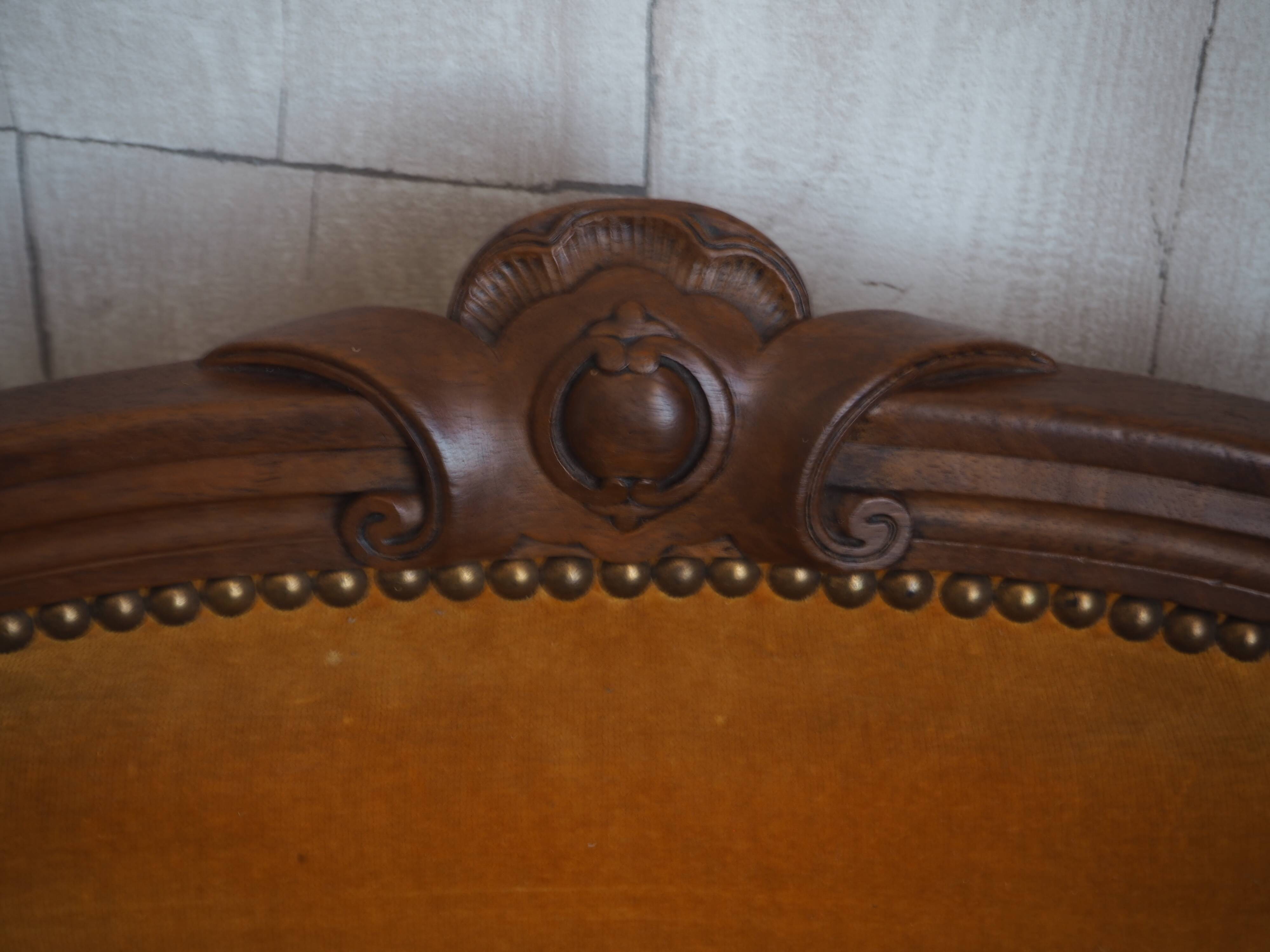 Antique Regency Style padded chair - Wooden structure and horsehair padding - Mustard color