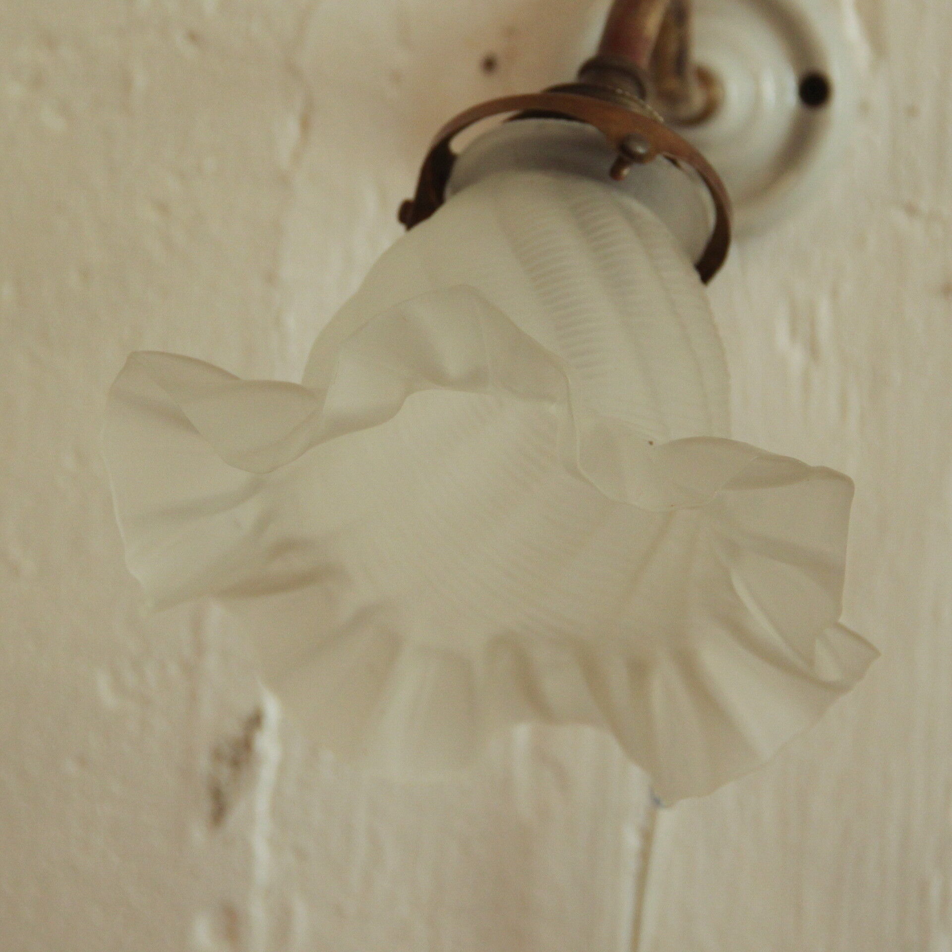 Apply wall collar brass and porcelain swan tulip glass