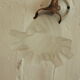 Apply wall collar brass and porcelain swan tulip glass