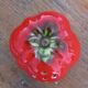 Tomato salt shaker