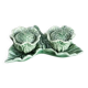 Salt and pepper shakers cabbage slushie