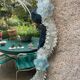 Venetian mirror Murano 1950 53x58cm