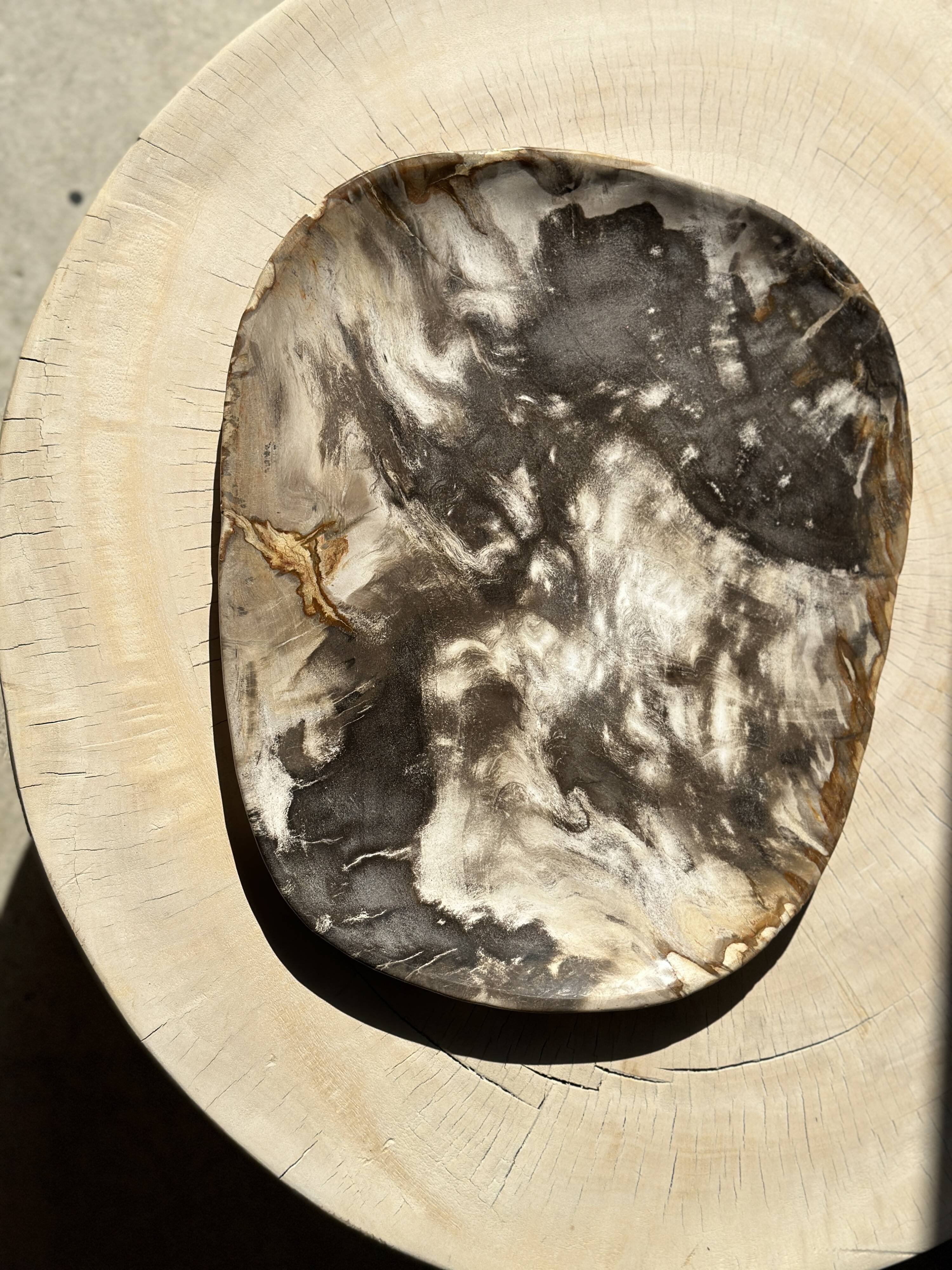 Very large pocket or dish in petrified wood