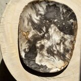 Very large pocket or dish in petrified wood