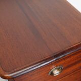 Dutch Industrial Mahogany Apothecary Cabinet, Mid-20th Century