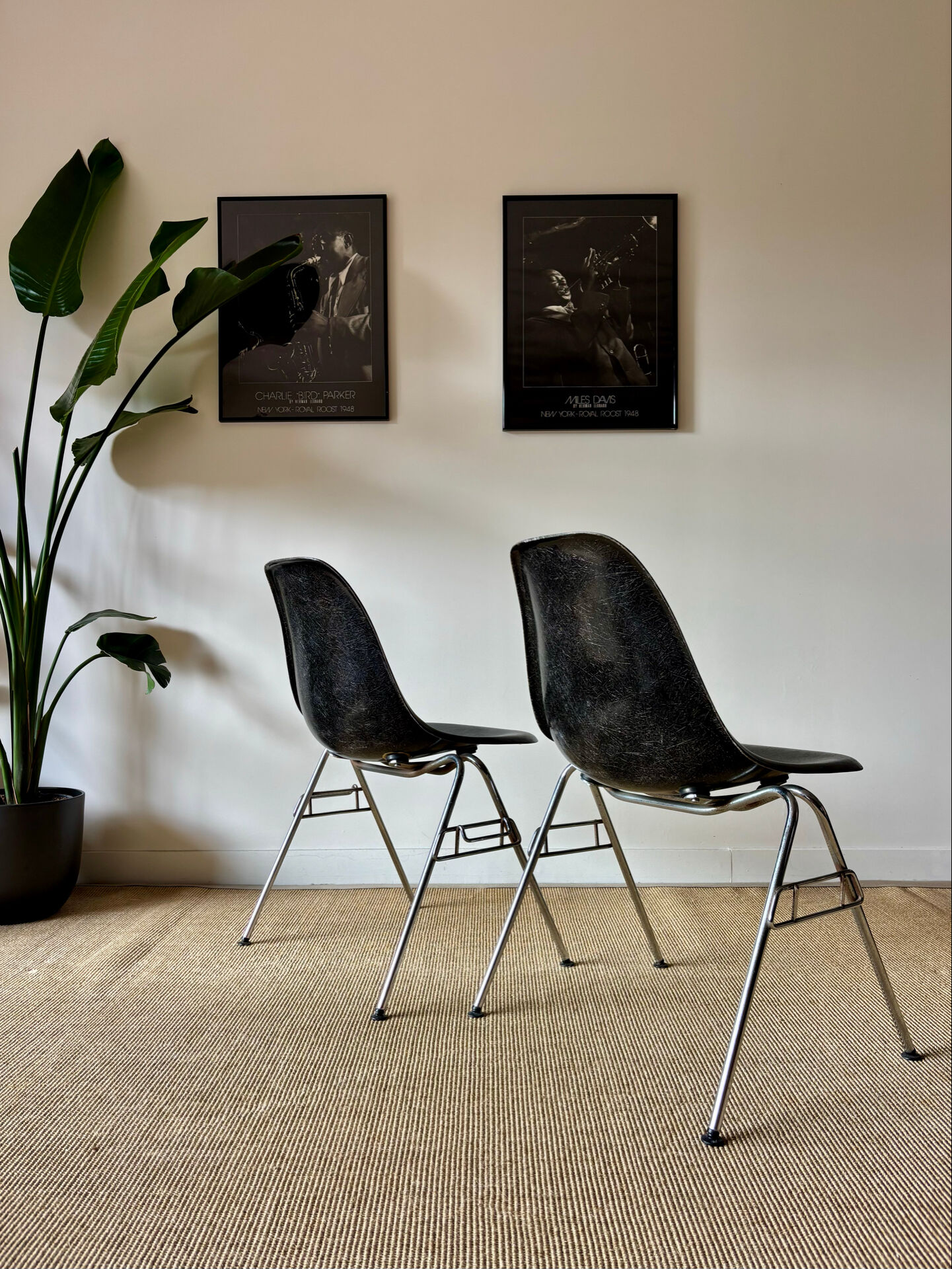 Eames DSS chairs (ed. Herman Miller - fibreglass)