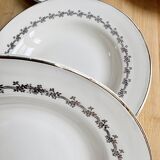 8 Digoin Sarreguemines plates