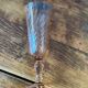 Luminarc Rosaline glass stemmed glass flute