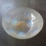 René Lalique opalescent dahlia cup