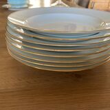 White Limoges plates