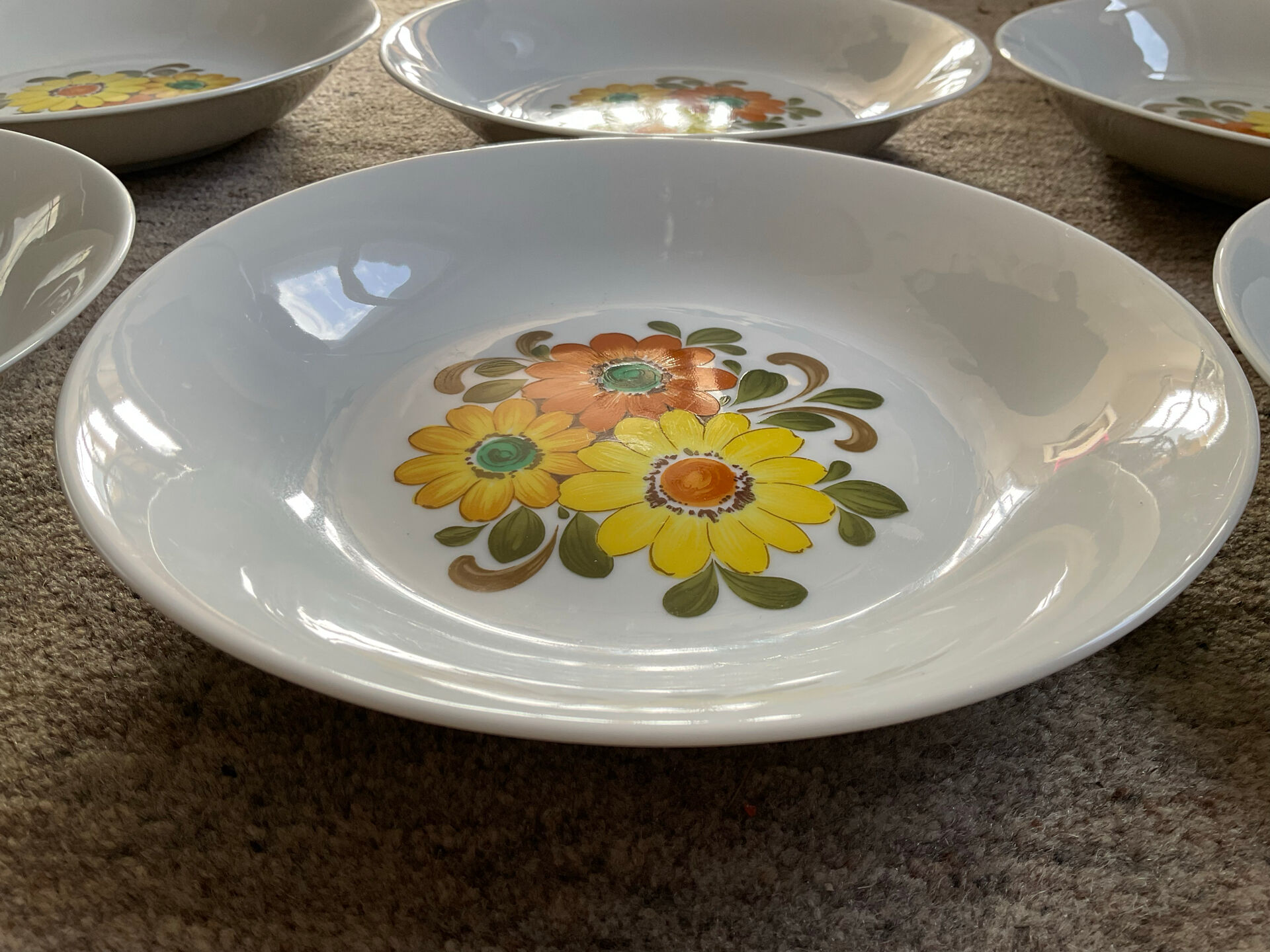 Set of 6 vintage porcelain plates