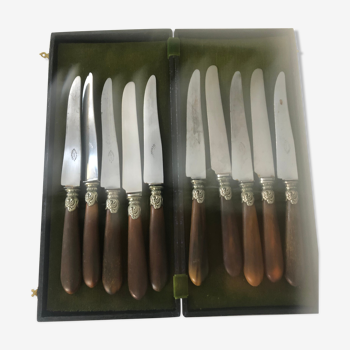 Service of 10 steel knives