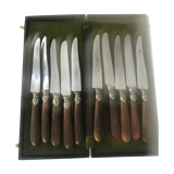 Service of 10 steel knives