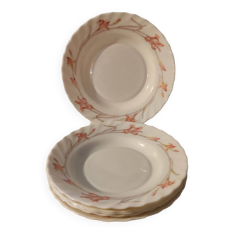 Assiettes vintage Arcopal iris 1980