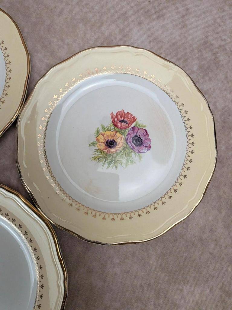 Set of 10 vintage dessert plates L’amandinoise Coopélia
