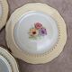 Set of 10 vintage dessert plates L’amandinoise Coopélia