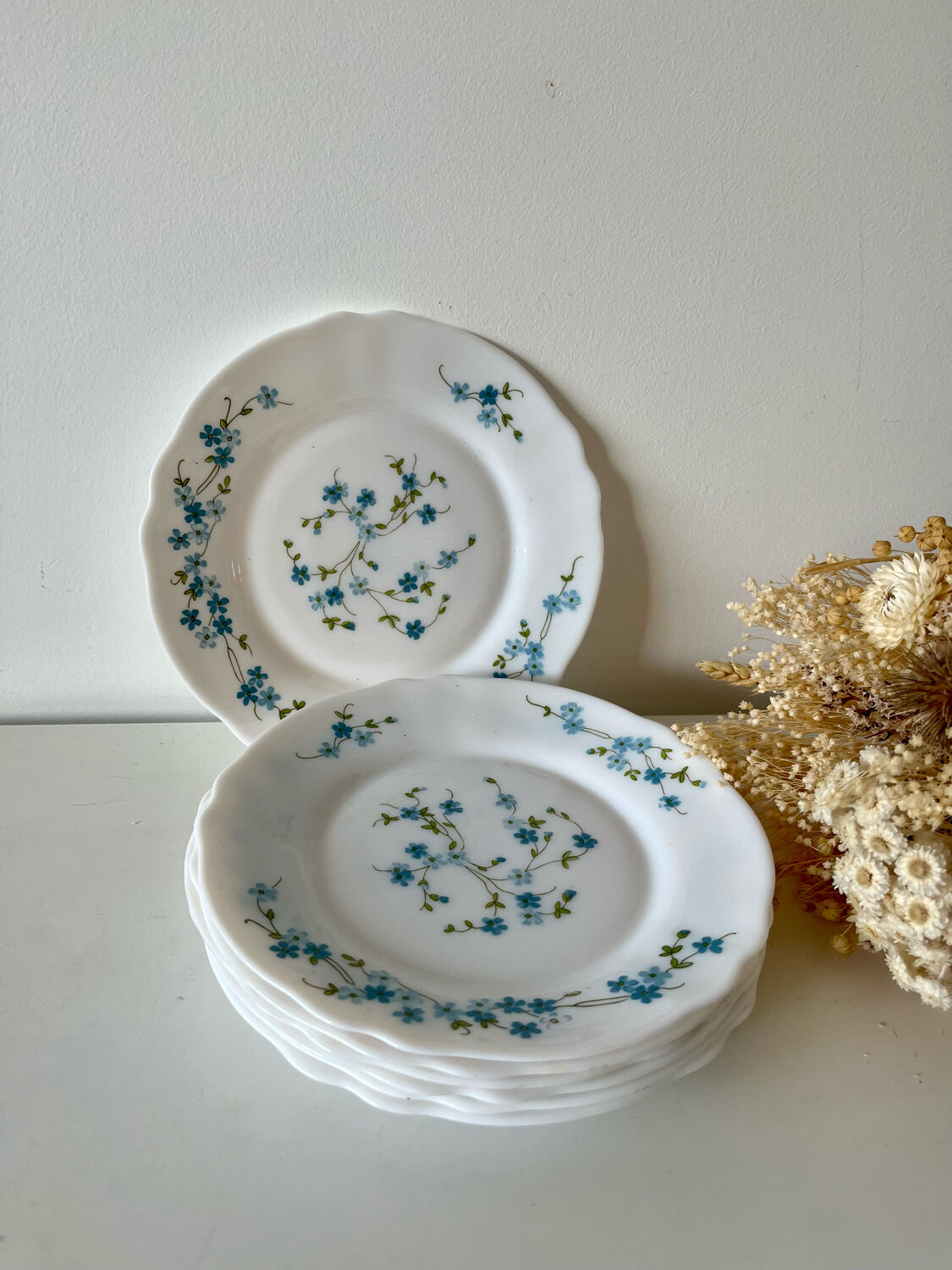 Myosotis dessert plates