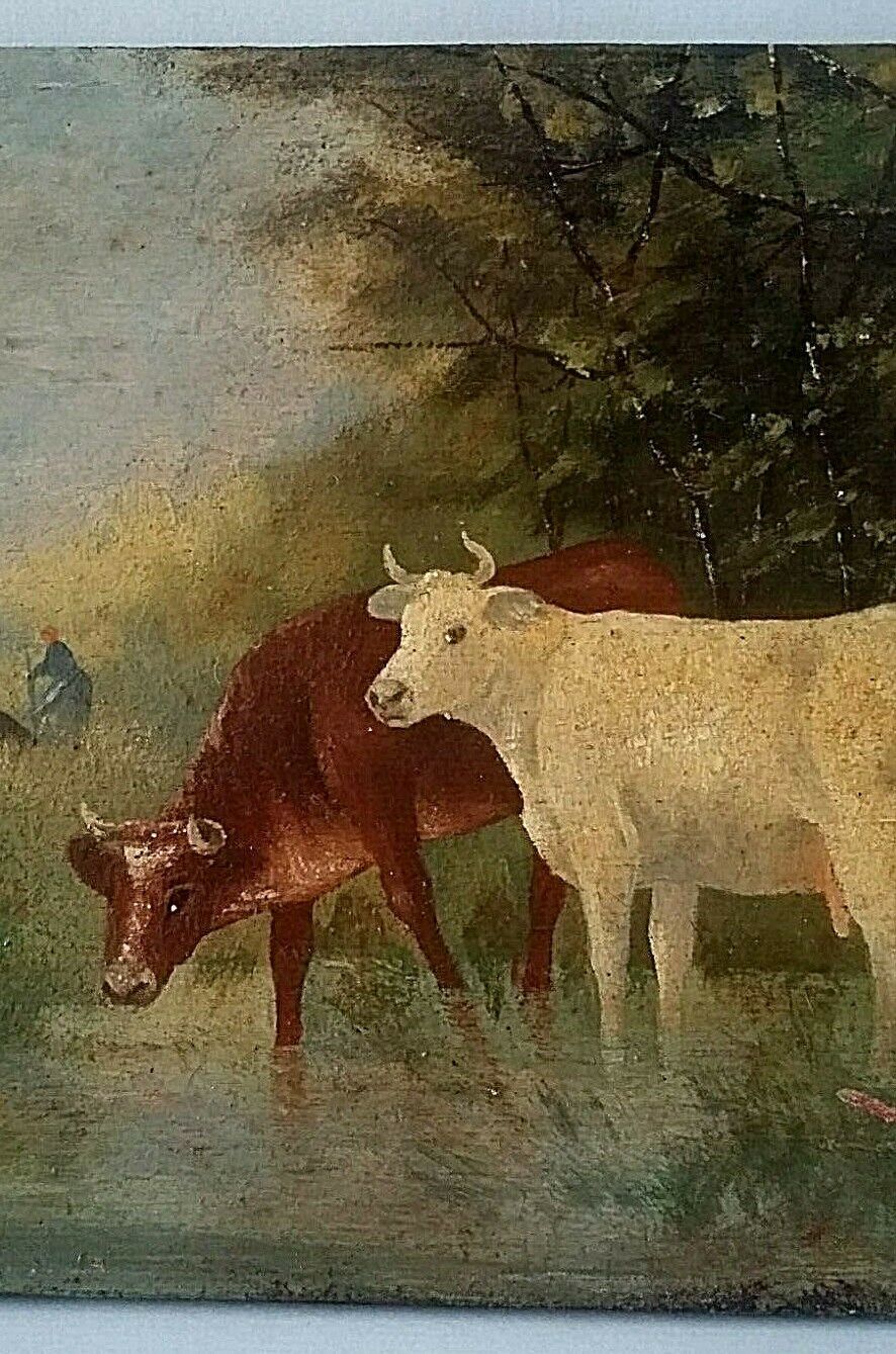 Table oil on panel cows late 19th early 20th century
