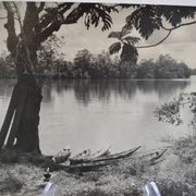 Photo argentique anonyme afrique gabon a vers 1970