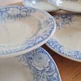 Set of seven hollow plates in iron earth