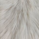 Hairy carpet