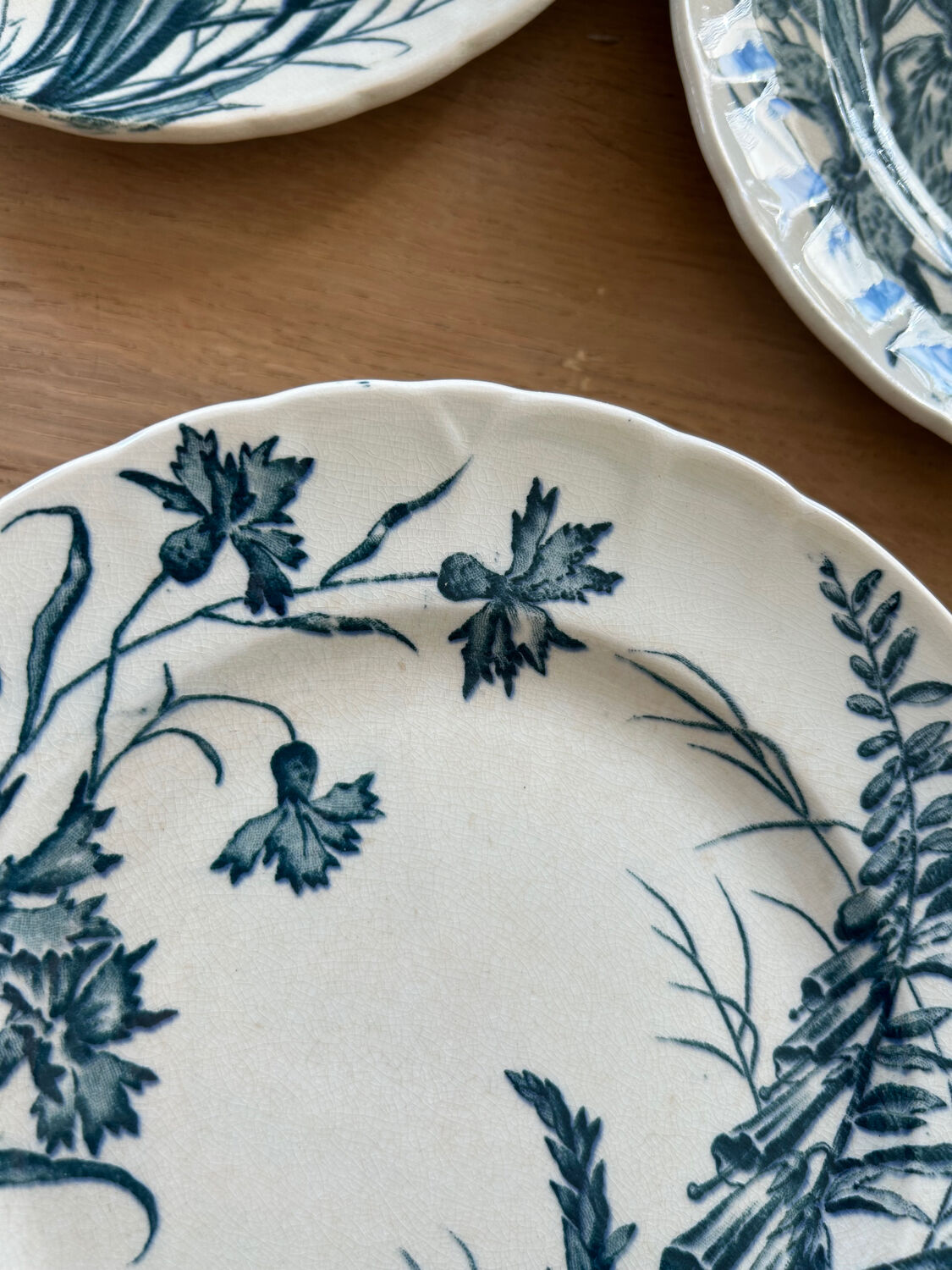 Set of 5 dessert plates Terre de fer Jules Vieillard