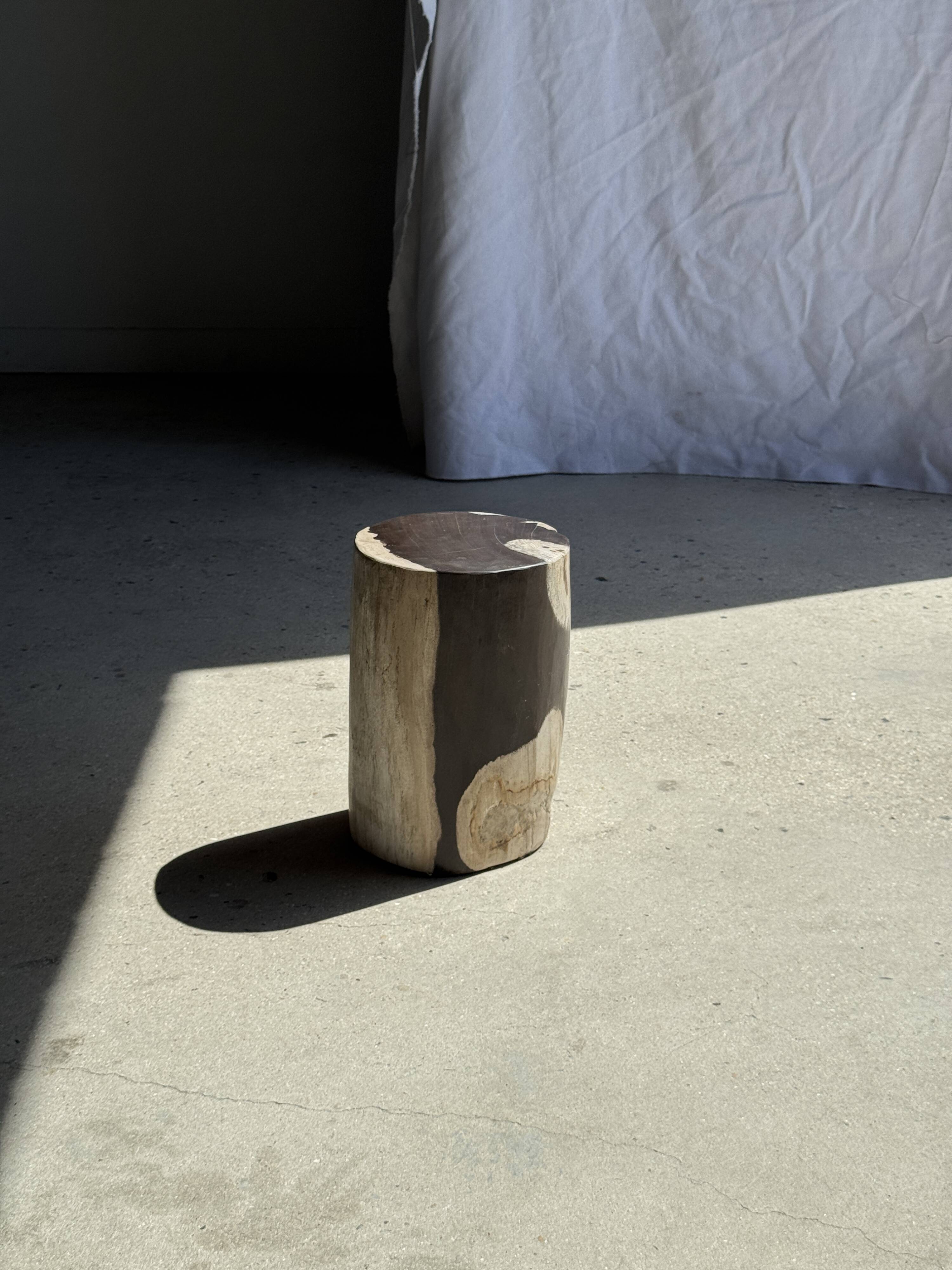 Small side table in black and white petrified wood H28 D18