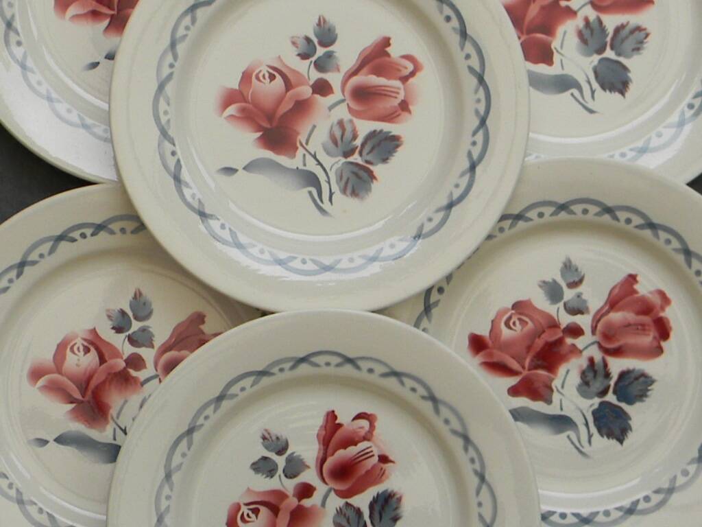 Set of 6 DIGOIN SARREGUEMINES earthenware dinner plates. CANNES model.