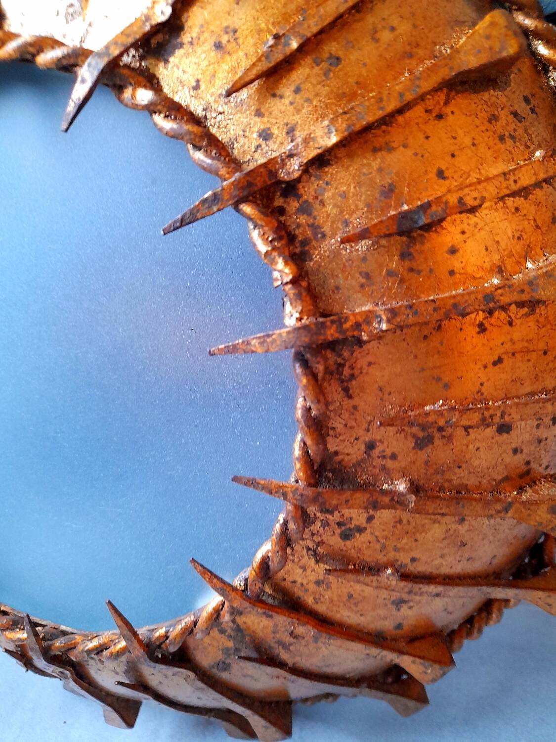 Sunburst wall or ceiling light 1960