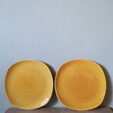 Set of 2 vintage yellow barbotine plates Sarreguemines France
