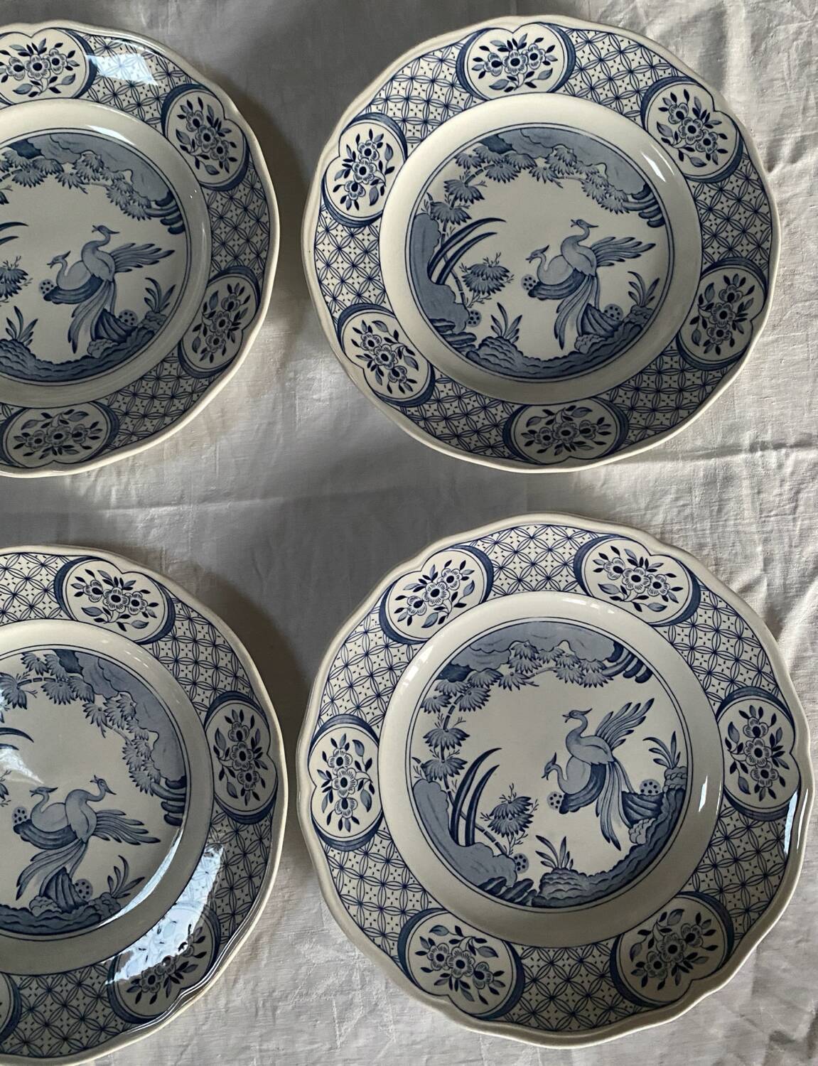 6 large Old Chelsea Furnivals dinner plates