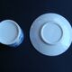 Asian Swallow Cup and Saucer