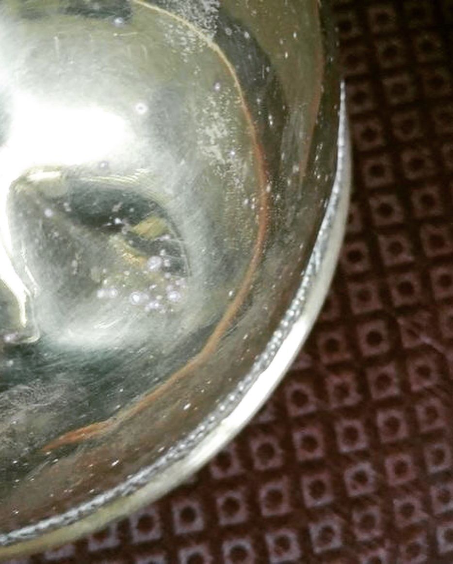 Cache pot art nouveau