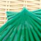 2 green ceramic scallops
