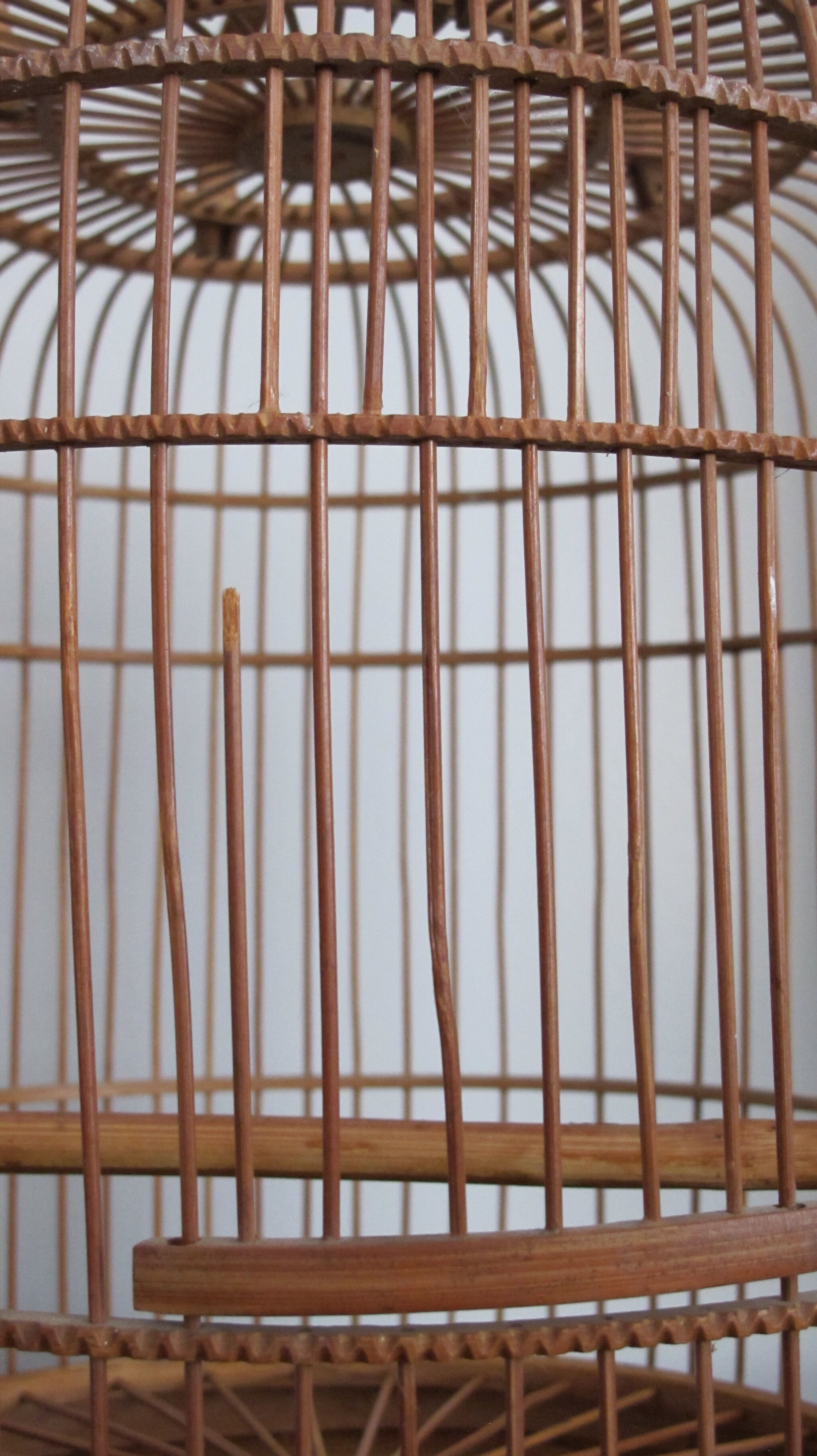 Cage à oiseaux