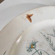 Prairial dish Creil Montereau