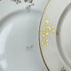 6 flat plates porcelain Limoges golden white
