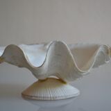 Clam shell in empty pocket