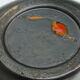 Multicolor dish, original ceramics signed Jean Garillon, years 50