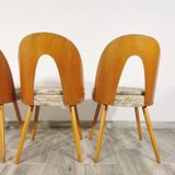 Dining Chairs by Antonin Suman, Set of 4