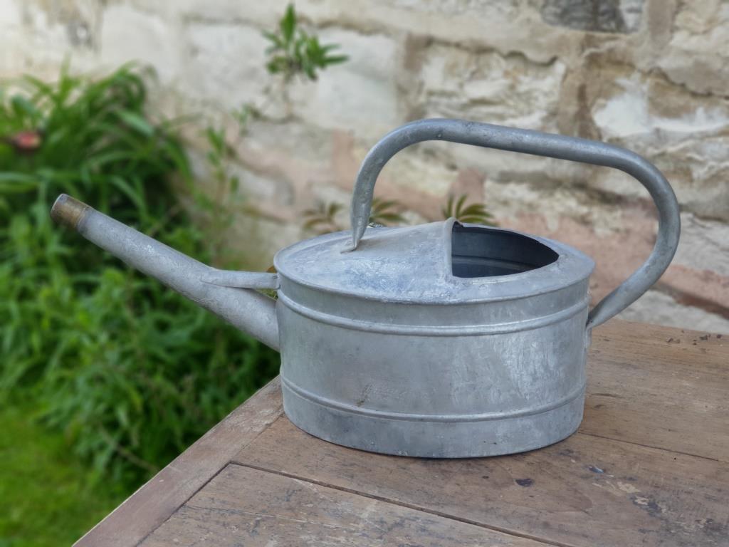 Zinc watering can