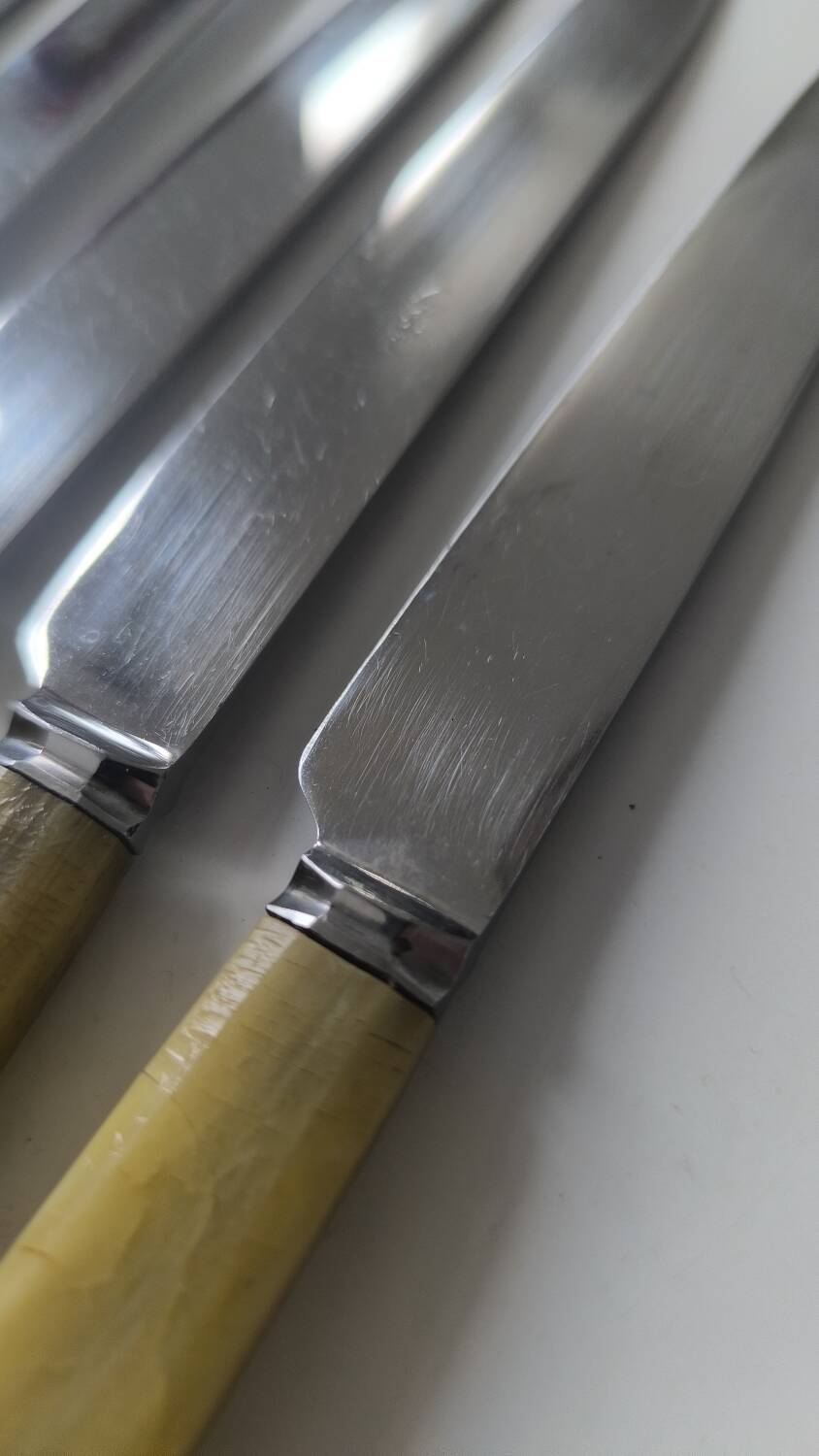 Set of 12 bakelite and stainless steel knives