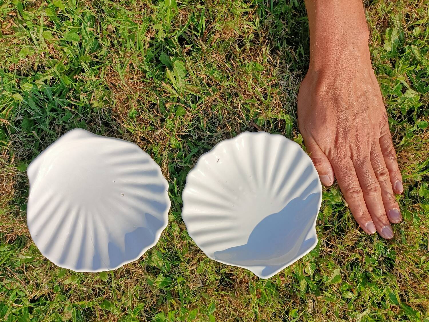 Scallop Shell Soap Dish