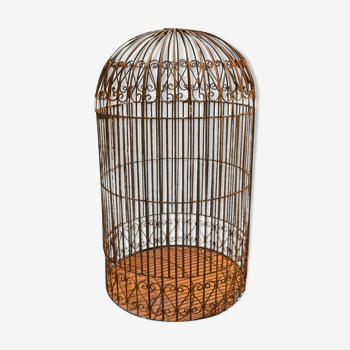 wrought iron bird cage